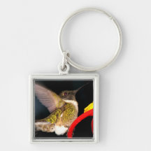 Ruby-Throated Hummingbird Key Chain