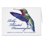 0 - Archilochus colubris, the Ruby Throated Hummingbird.: Sizes  Available colors: 0