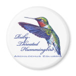 round_magnet - Archilochus colubris, the Ruby Throated Hummingbird.: Sizes  Available colors: 0