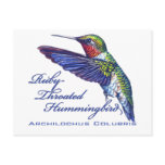 0 - Archilochus colubris, the Ruby Throated Hummingbird.: Sizes  Available colors: 0