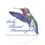 round_sticker - Archilochus colubris, the Ruby Throated Hummingbird.: Sizes  Available colors: 0