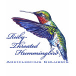 kids_basic_dark_tshirt - Archilochus colubris, the Ruby Throated Hummingbird.: Sizes s,m,l,xl Available colors: black
