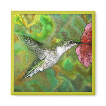 Ruby throated Hummingbird magnets
