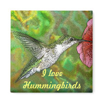 Ruby throated Hummingbird magnets