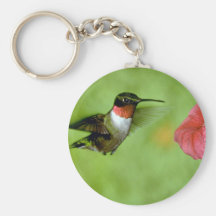 Ruby-throated Hummingbird (male) with petunia Keychain