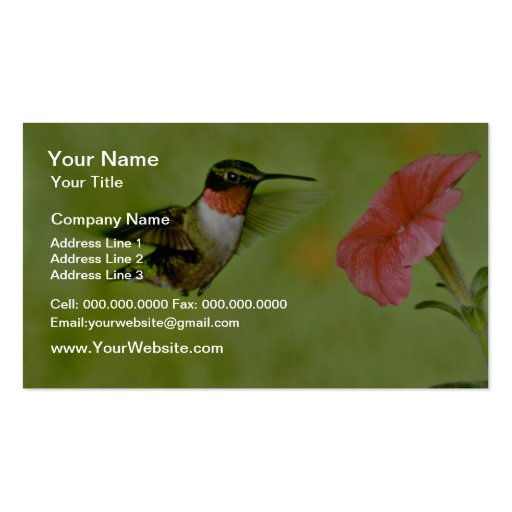 Ruby-throated Hummingbird (male) with petunia Pink Business Card Templates
