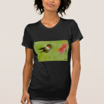 Ruby-throated Hummingbird (male) with petunia Pink Shirts
