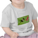 Ruby-throated Hummingbird (male) with petunia Shirts