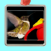 Ruby-Throated Hummingbird ornaments