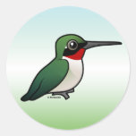 Ruby-throated Hummingbird Stickers