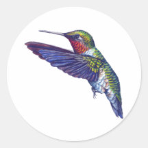 Ruby Throated Hummingbird Stickers