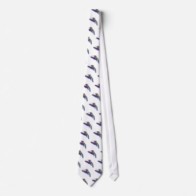 Ruby Throated Hummingbird Neck Tie by tshirtdart