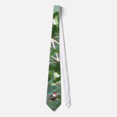 Ruby-throated Hummingbird Tie tie