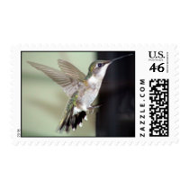Ruby-Throated Hummingbirds 2003-0069 postage