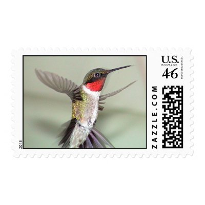 Ruby-Throated Hummingbirds 2003-0082a Postage Stamps by MaureenL1