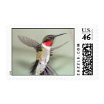 Ruby-Throated Hummingbirds 2003-0082a Postage Stamps