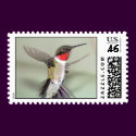 Ruby-Throated Hummingbirds 2003-0082a postage