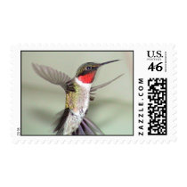 Ruby-Throated Hummingbirds 2003-0082a postage by MaureenL1 Ruby-Throated Hummingbirds 2003-0082a postage