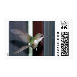 Ruby-Throated Hummingbirds 2003-0202b Postage Stamps