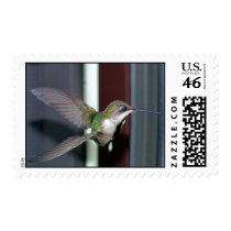 Ruby-Throated Hummingbirds 2003-0202b postage by MaureenL1 Ruby-Throated Hummingbirds 2003-0202b postage