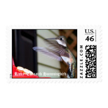 Ruby-Throated Hummingbirds 2003-0225, Ruby-Thro... postage
