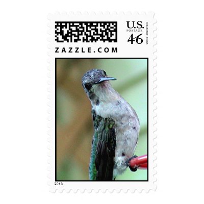 Ruby-Throated Hummingbirds 2003-0281a Stamps by MaureenL1