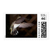 Ruby-Throated Hummingbirds 2003-0297a postage