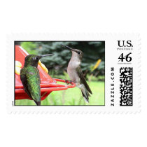 Ruby-Throated Hummingbirds 2005_0793 postage