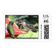 Ruby-Throated Hummingbirds 2005_0797, Ruby-Thro... postage