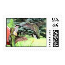 Ruby-Throated Hummingbirds 2005_0808 postage