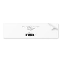 Ruby-Throated Hummingbirds Rock bumper stickers
