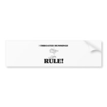 RUBY-THROATED HUMMINGBIRDS Rule! bumper stickers