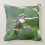 Ruby Throated Male Hummingbird pillows