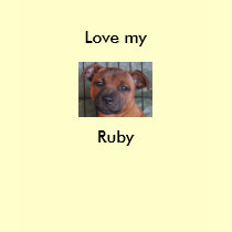 Ruby t-shirts