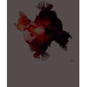 Ruby t-shirts