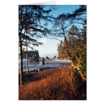 RubyBeach cards