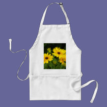 Rudbeckia aprons