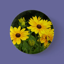 Rudbeckia buttons