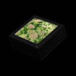 Rudbeckia Hirta (Black-eyed Susans) gift boxes
