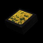 Rudbeckia Hirta (Black-eyed Susans) gift boxes