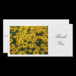 Rudbeckia Hirta (Black-eyed Susans) - Thank You photo cards