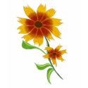 Rudbeckia hirta flowery t-shirts by meafeby Rudbeckia hirta flowery t-shirts