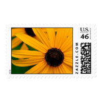Rudbeckia postage by NastySharkDesigns Rudbeckia postage