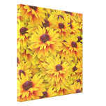 Rudbeckias Everywhere Gallery Wrap Canvas