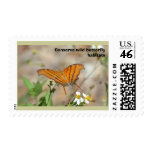 Ruddy Daggerwing butterfly postage stamp