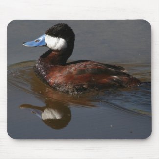 Ruddy Duck Mousepad mousepad