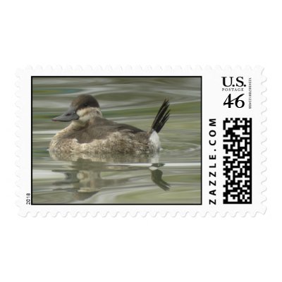Ruddy Duck Postage