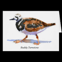 Ruddy Turnstone cards