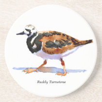 Ruddy Turnstone coaster coasters