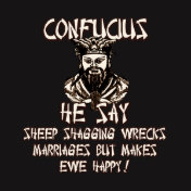 Rude and funny Confucius